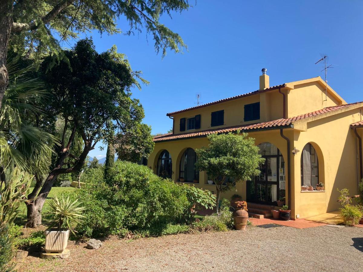 Tenuta Poggio Alla Farnia Fauglia Exteriör bild