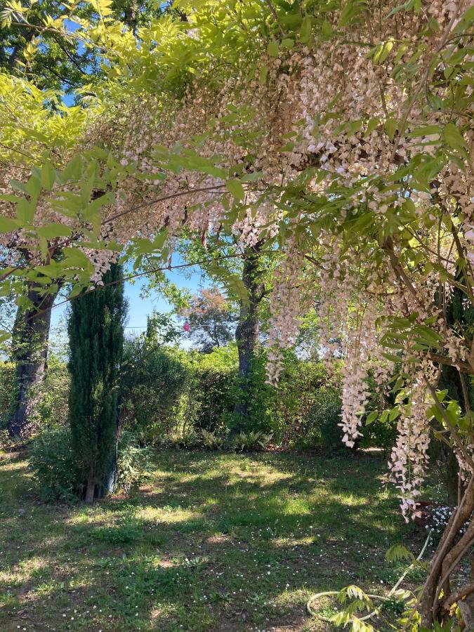 Tenuta Poggio Alla Farnia Fauglia Exteriör bild