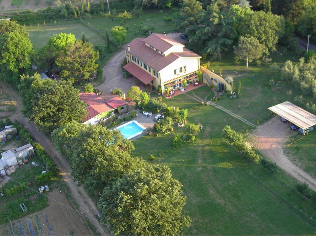 Tenuta Poggio Alla Farnia Fauglia Exteriör bild