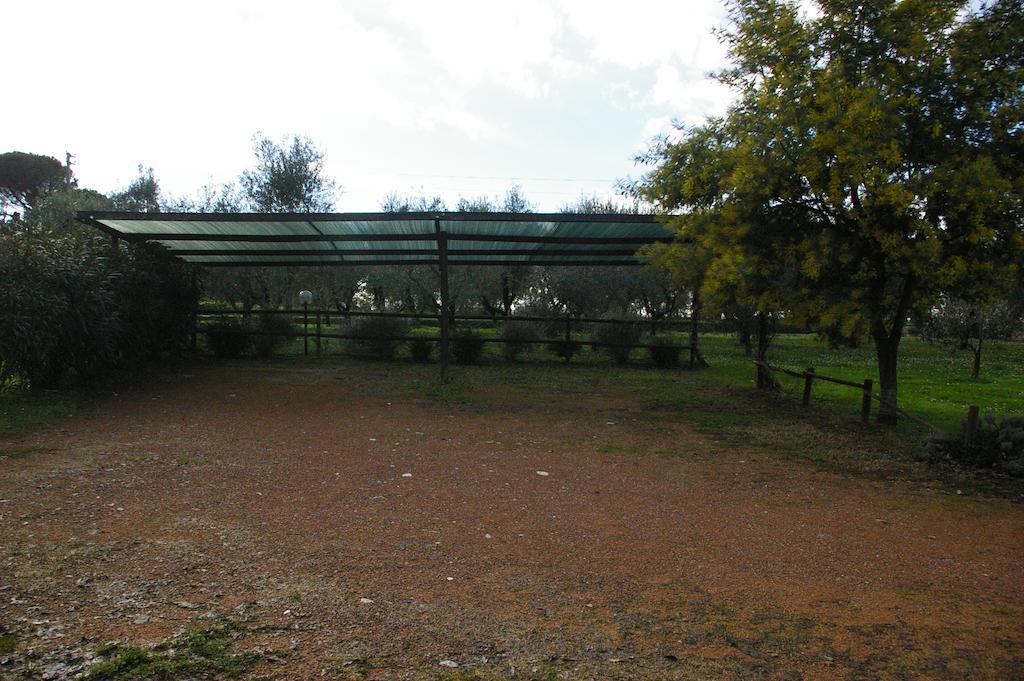 Tenuta Poggio Alla Farnia Fauglia Exteriör bild